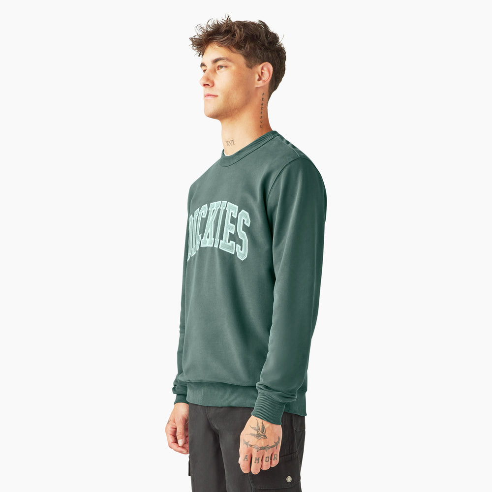 Dickies Aitkin Men's Sweatshirt