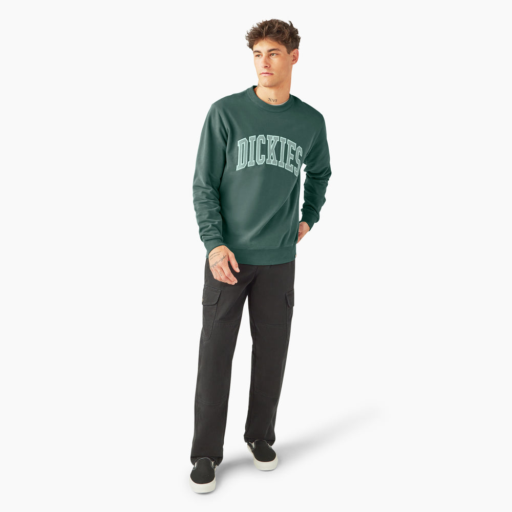 Dickies Aitkin Men's Sweatshirt