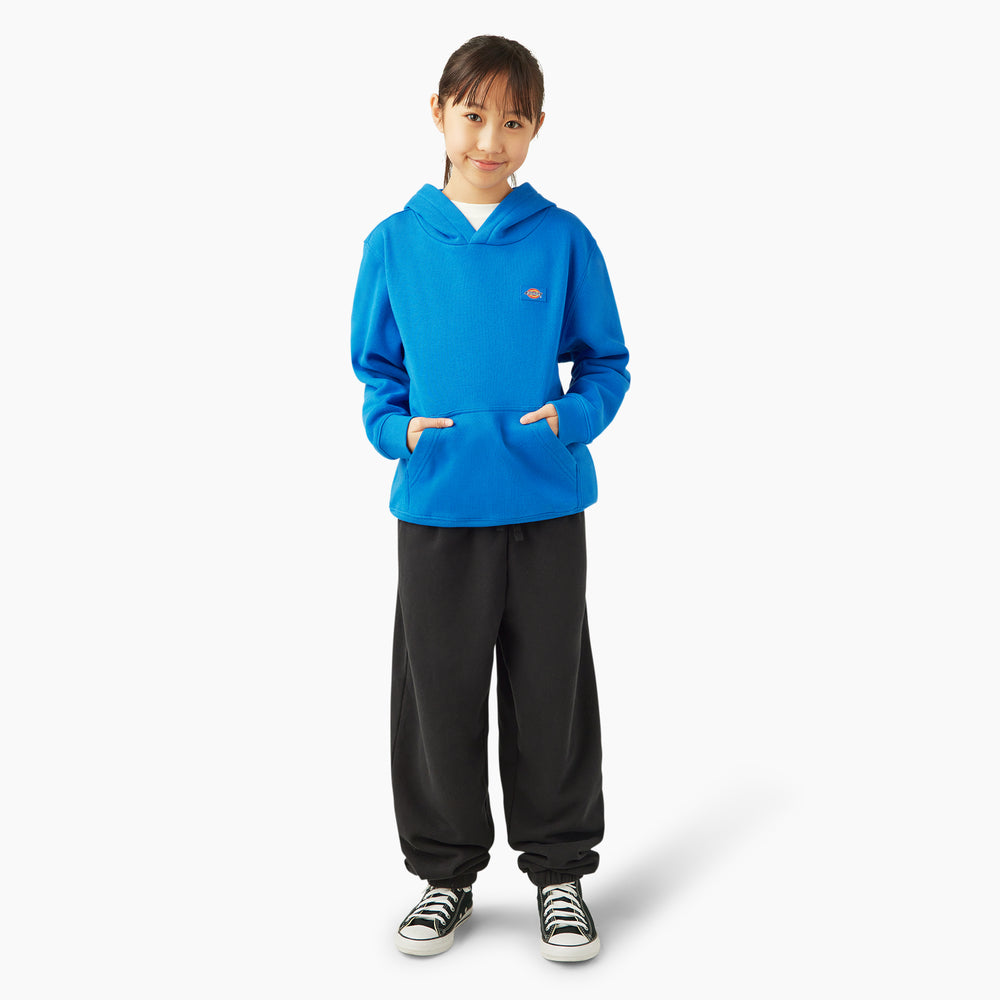 Dickies Oakport Kids' Hoodie