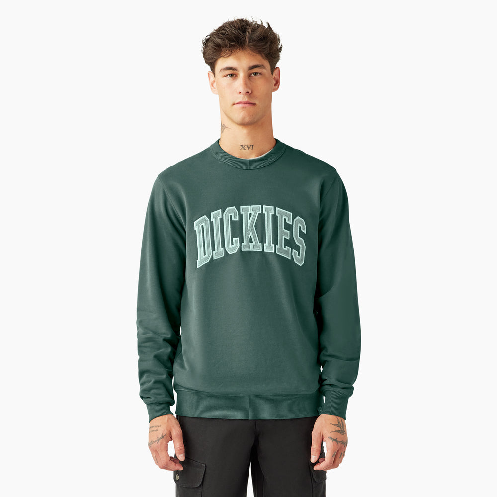 Dickies Aitkin Men's Sweatshirt