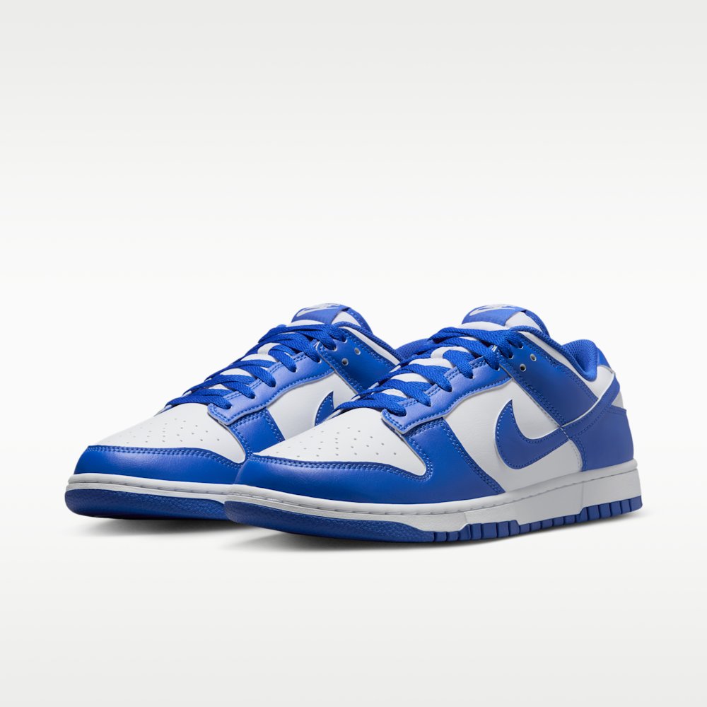 Nike Dunk Low Retro Men's Sneakers