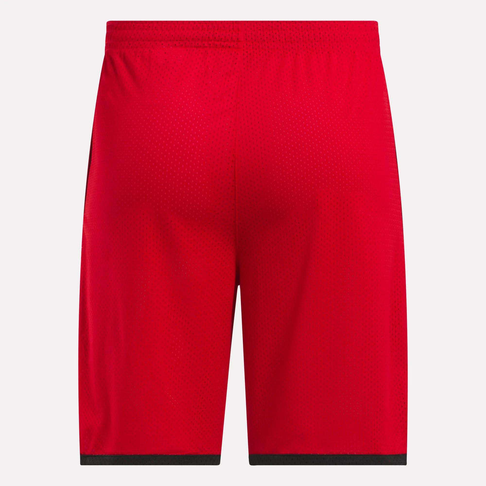 Reebok Basketball Mesh Men's Shorts