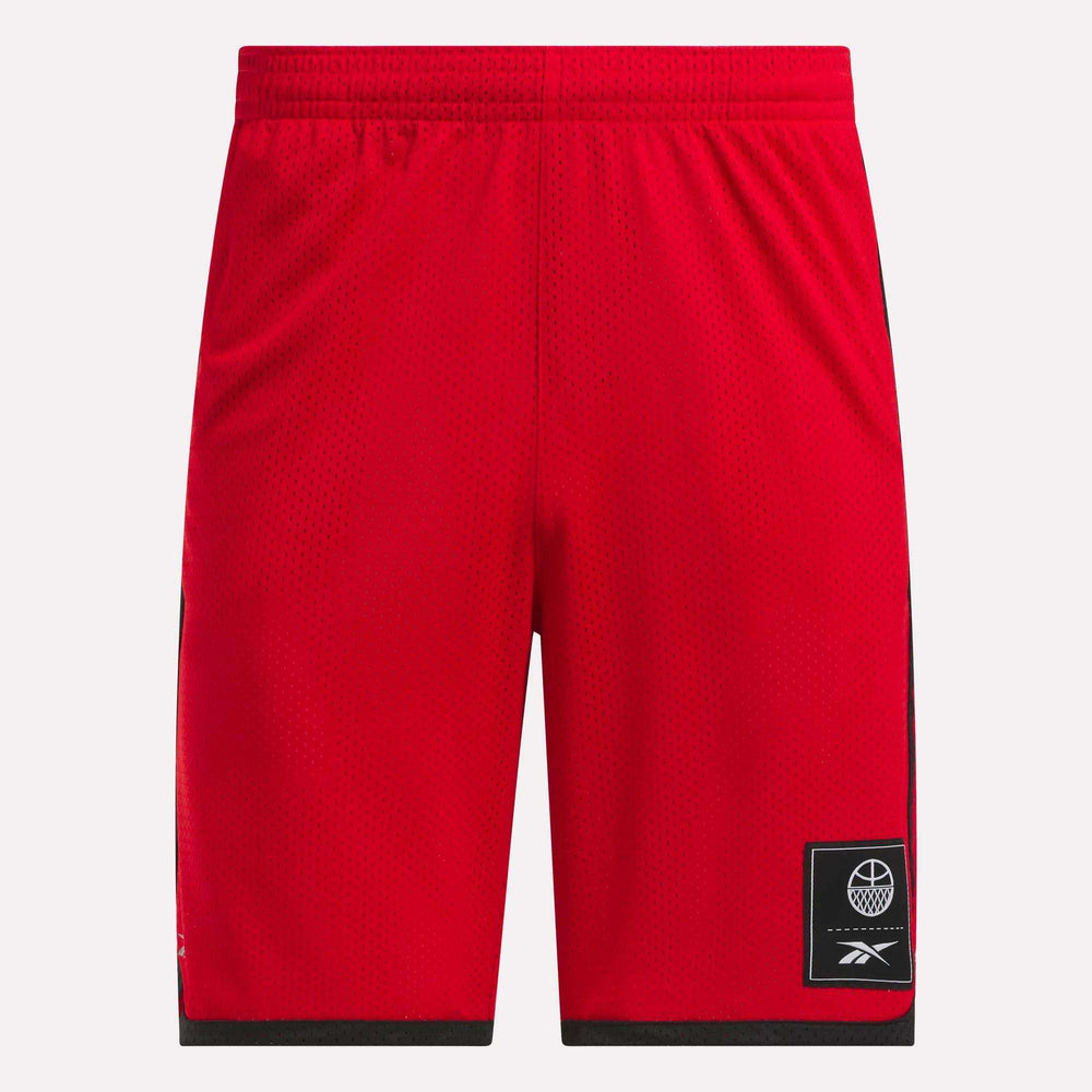 Reebok Basketball Mesh Men's Shorts