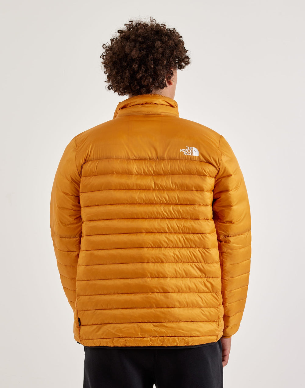 The North Face Terra Peak Men's Jacket