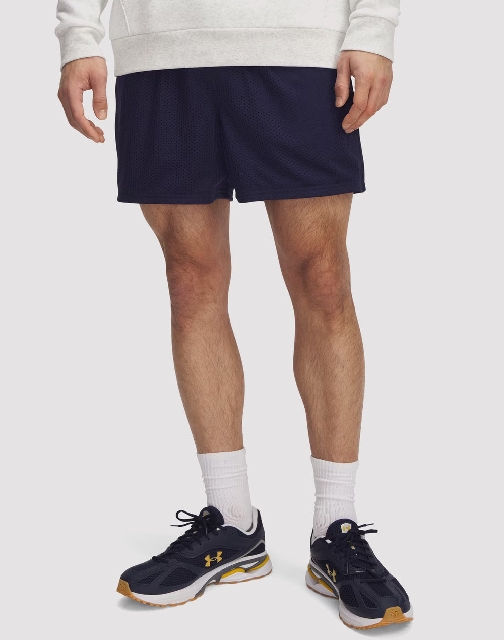 Under Armour Icon Mesh Men's Shorts